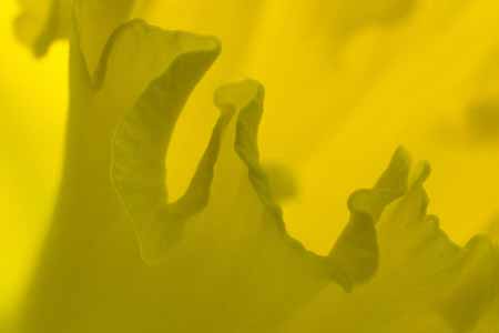 L0084_zarte_fantasien