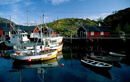 L0868_nussfjord_norwegen