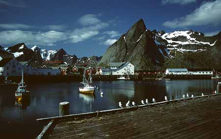 L0870_lofoten_norwegen