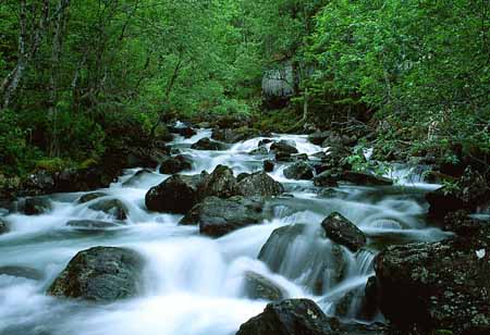 L1149_wildbach_mit_alter_muehle