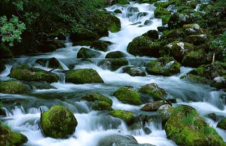 L1179_wildbach_norwegen