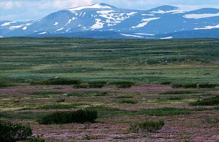 L1204_flatrute_schweden