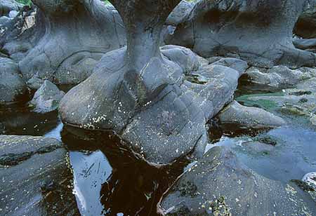 L1260_kannesteinen_norwegen