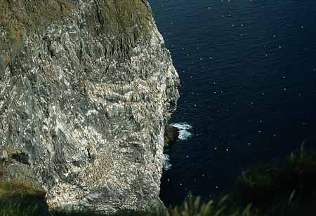 L1285_runde_norwegen