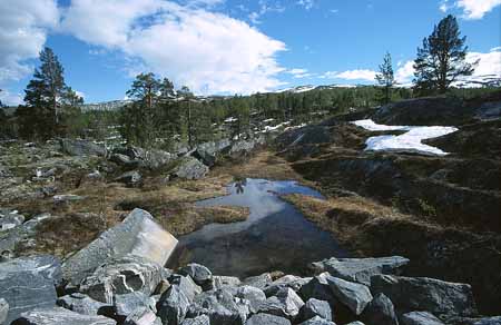 L1292_fjell_norwegen
