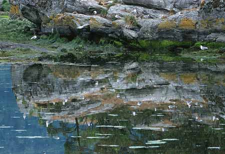 L1342_vogelfels_spiegelung