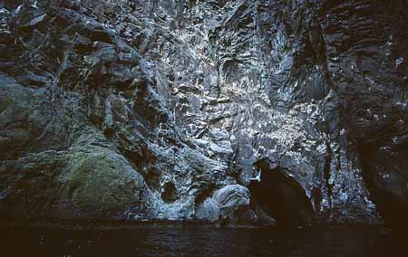 L1358_runde_norwegen_vogelfels