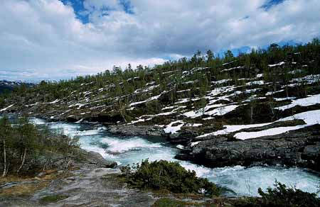 L1364_fjell_norwegen