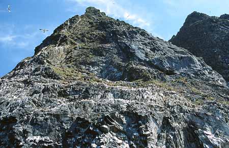 L1379_runde_norwegen_vogelfels