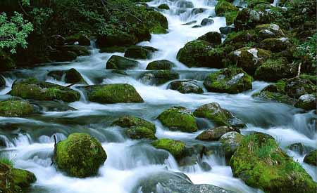 L1380_wildbach_norwegen