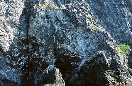 L1381_runde_norwegen_vogelfels