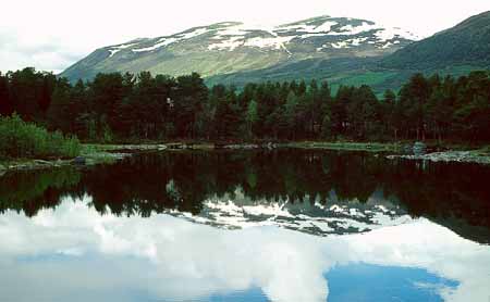 L1497_spiegelung_fjell_norwegen