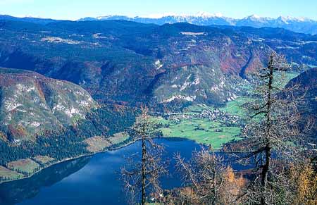 L1942_blick_vom_vogel