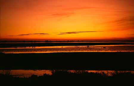 L1981_sonnenuntergang