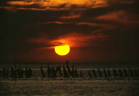 L2245_sonnenuntergang_camargue