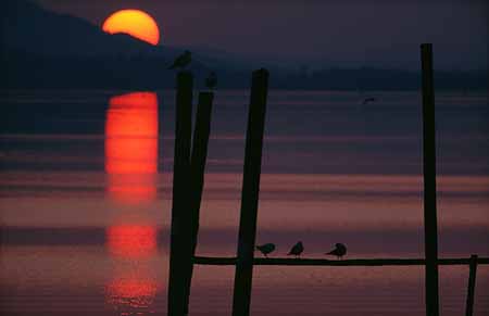 L2249_sonnenuntergang_bodensee