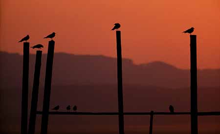 L2251_sonnenaufgang_bodensee