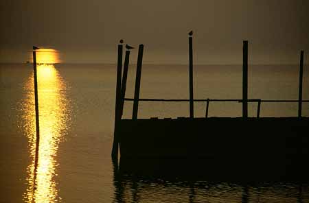 L2254_sonnenuntergang_bodensee_gelb