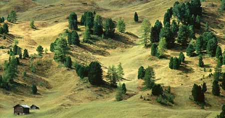 L2256_dolomiten_almblick