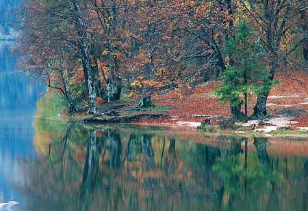 L2364_herbst_im_bochinj