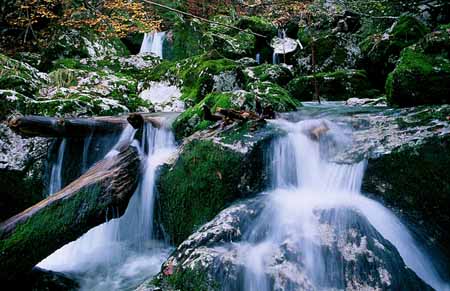 L2386_wildbach_slowenien