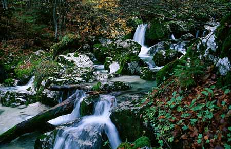 L2397_wildbach_slowenien