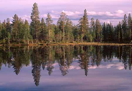 L2883_spiegelung_see_schweden_ver