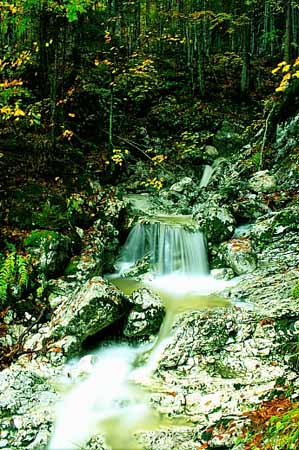 P0088_kleiner_wasserfall_slowenien