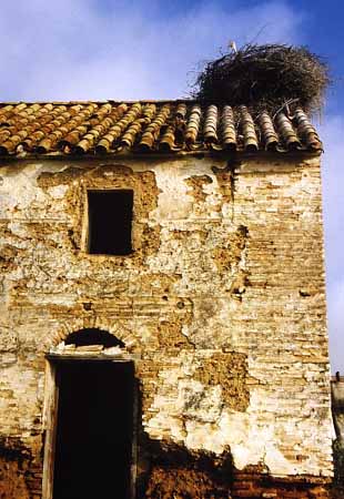 P0312_altes_haus_mit_nest