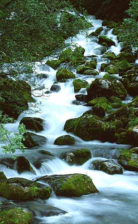 P1208_wildbach_norwegen