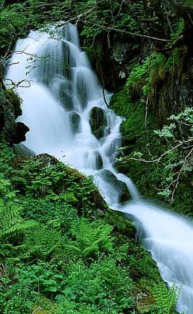 P1305_wasserfall_norwegen