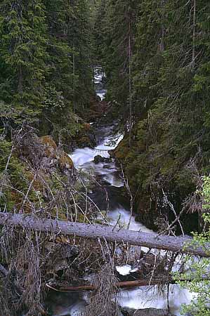 P1387_wildbach_norwegen