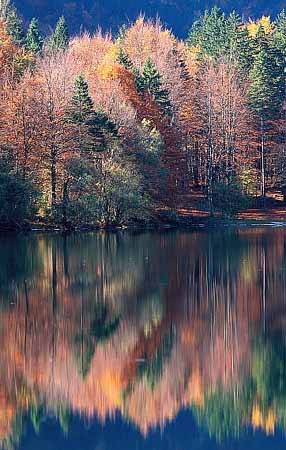 P1587_spiegelung_slowenien