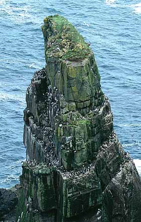 P1788_vogelfels_handa