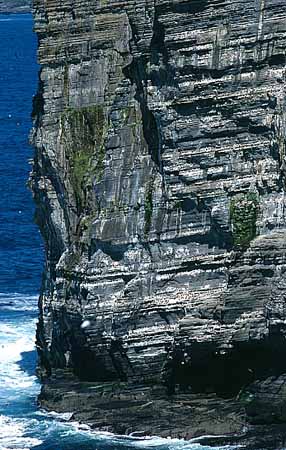 P1867_vogelfels_mainland