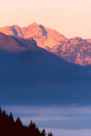 P1944_blick_auf_vogel