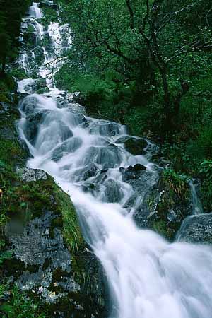 P2084_wasserfall