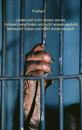 P2308_0rang_hand_freiheit_vertik_m_text