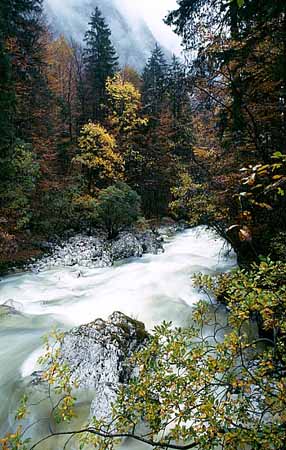 P2325_wildbach_slowenien