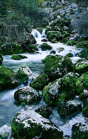 P2338_wildbach_slowenien