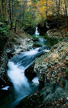 P2341_wildbach_slowenien