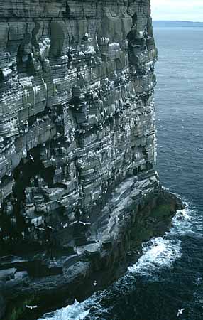 P2689_vogelfels_westrey