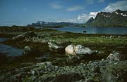 L0932_lofoten_norwegen