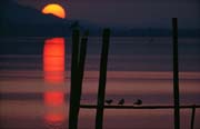 L2249_sonnenuntergang_bodensee