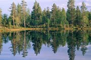 L2890_spiegelung_see_schweden